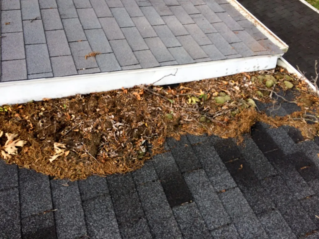 How to Safely Remove Debris From Your Roof