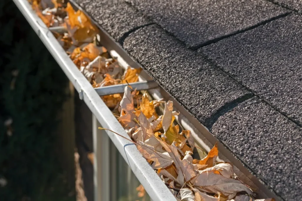 What to Look for After a Big Storm: Roof & Gutter Checklist What to Look for After a Big Storm: Roof & Gutter Checklist